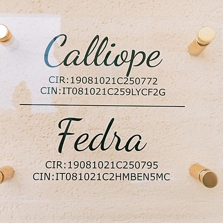 טרפאני Calliope מראה חיצוני תמונה