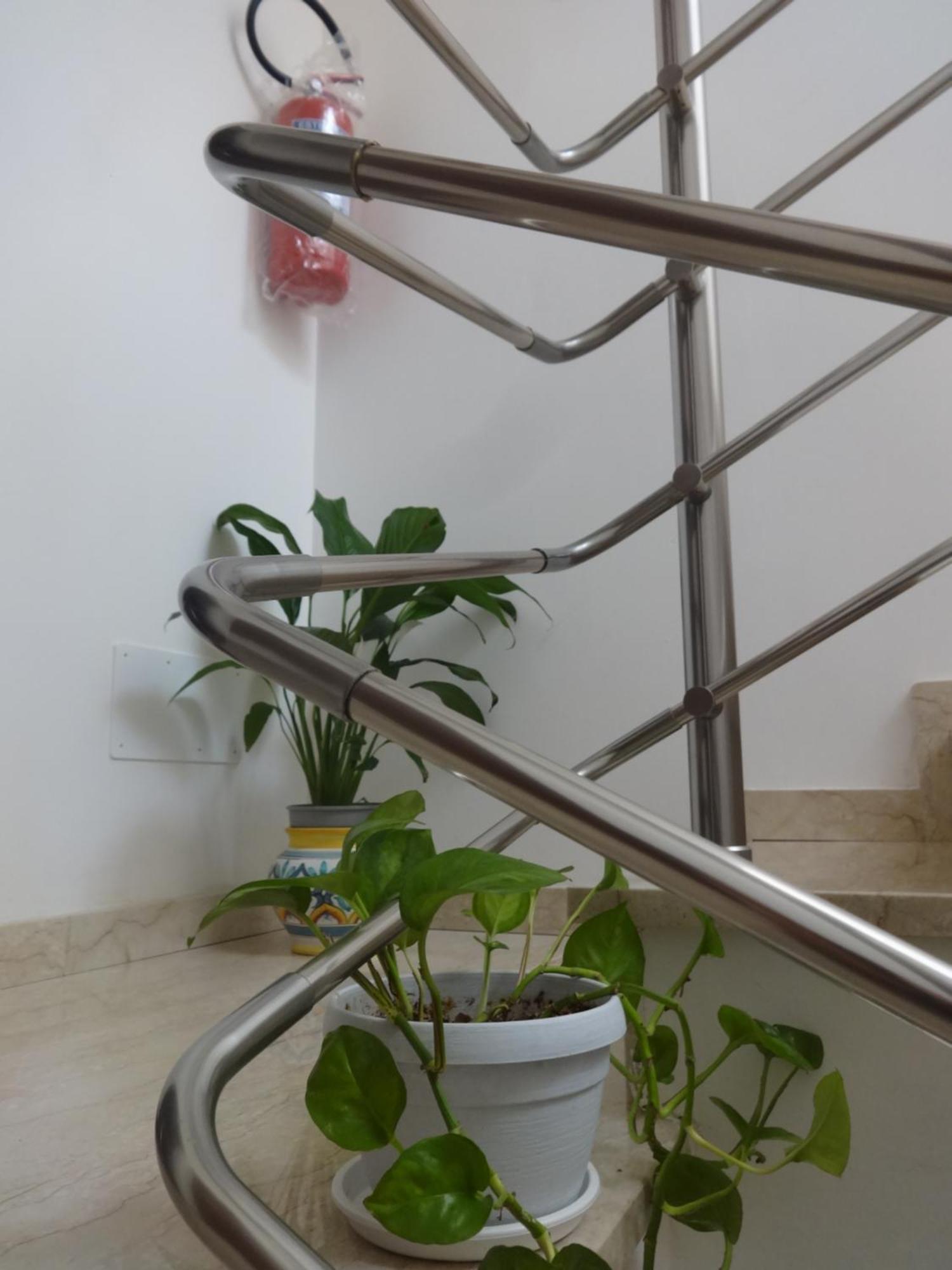 טרפאני Calliope מראה חיצוני תמונה